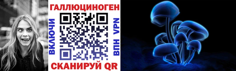 Псилоцибиновые грибы Cubensis  Саки 
